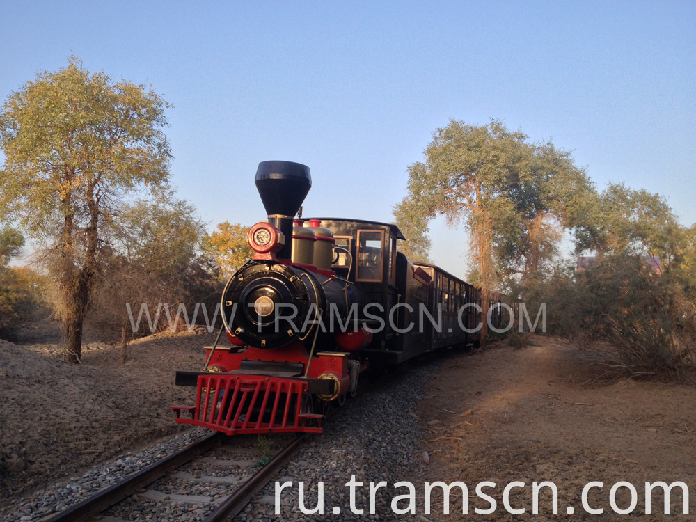 sightseeing trains in forest populus